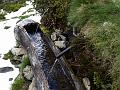 AUS31052009 (44)